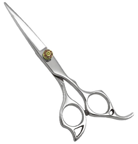 Professional Razor Eadge Shears